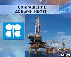 Венесуэла призывает ОПЕК дополнительно сократить добычу нефти