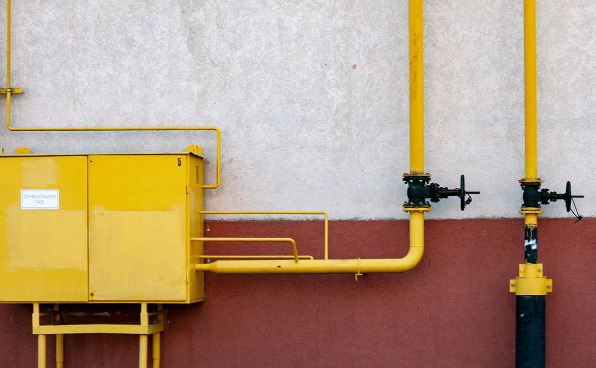 Светлана Возмилова / Global Look Press