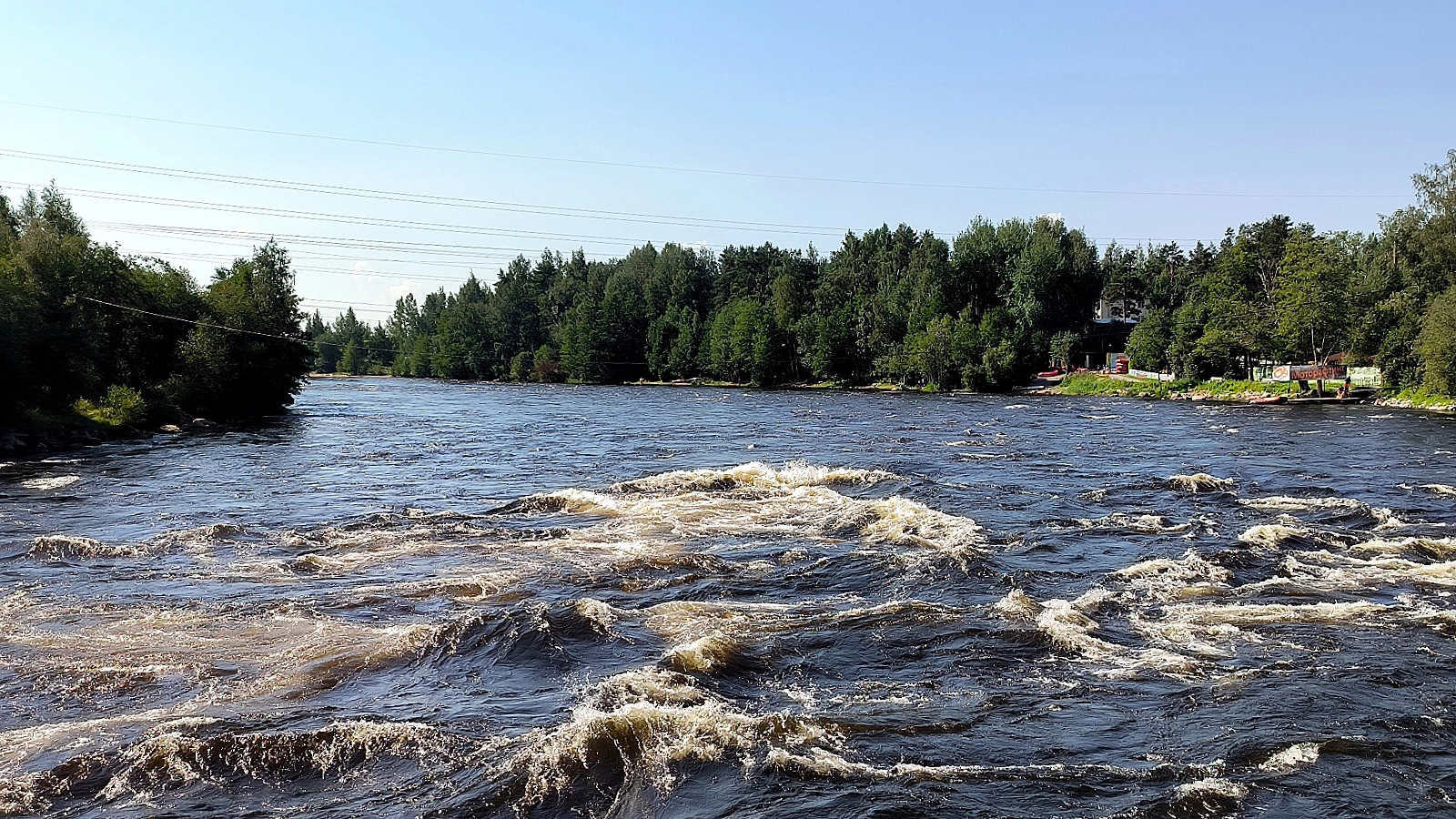 В Ленинградской области девочка погибла во время речной прогулки