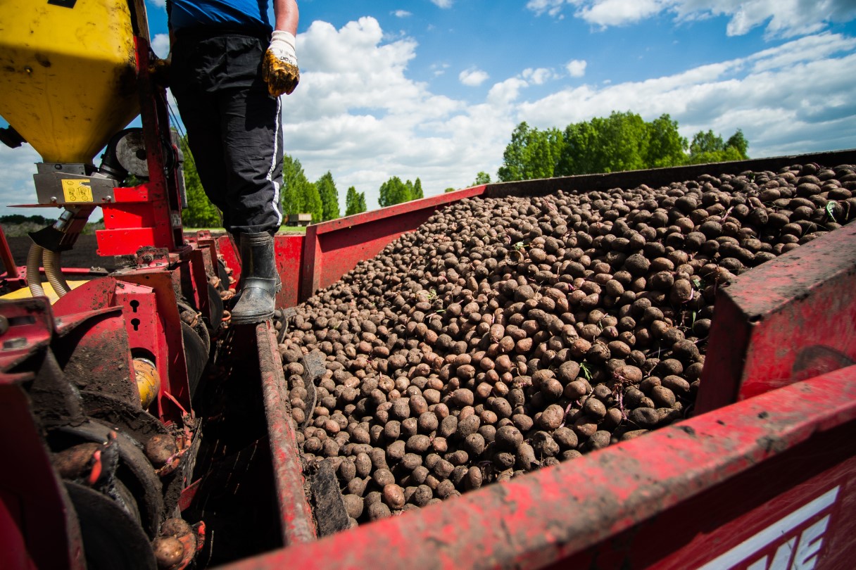 Фото: Анна Майорова / URA.RU