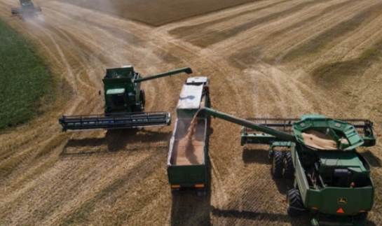 Фото: Alexey Furman / Getty Images