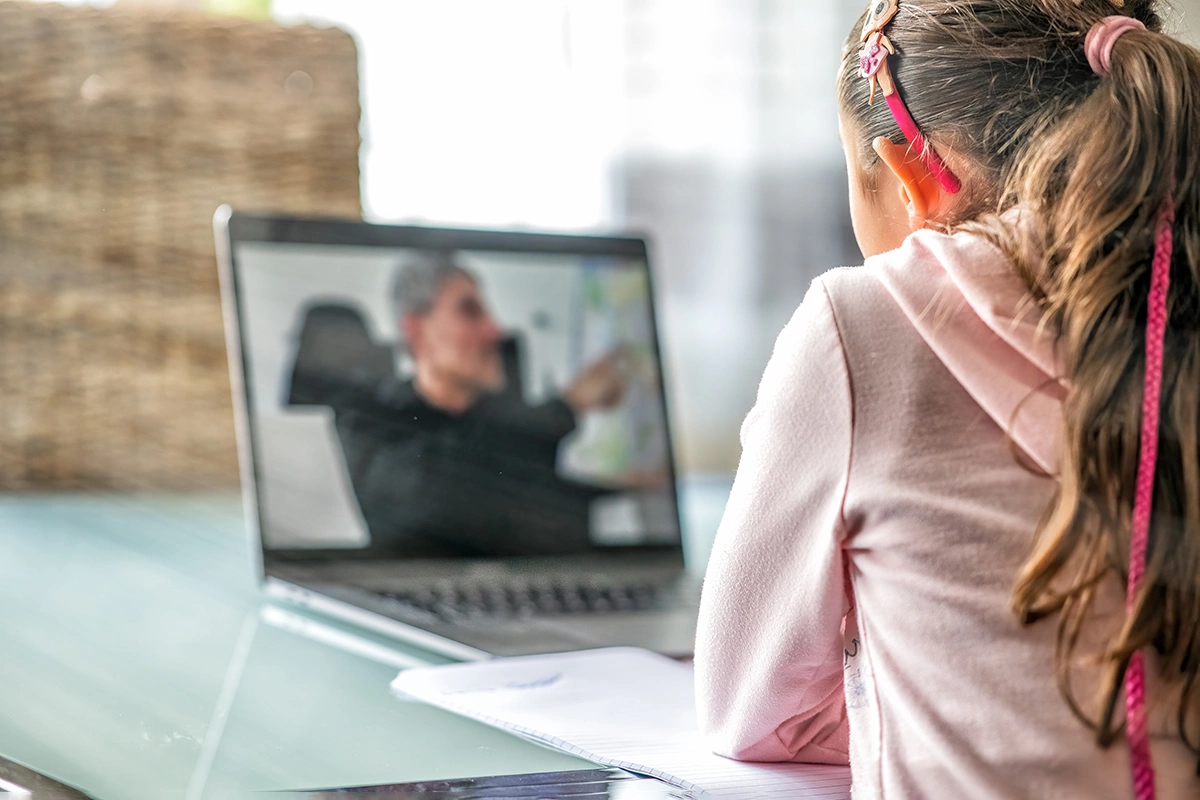 Альтернатива отмене уроков в холода — дистанционное обучение