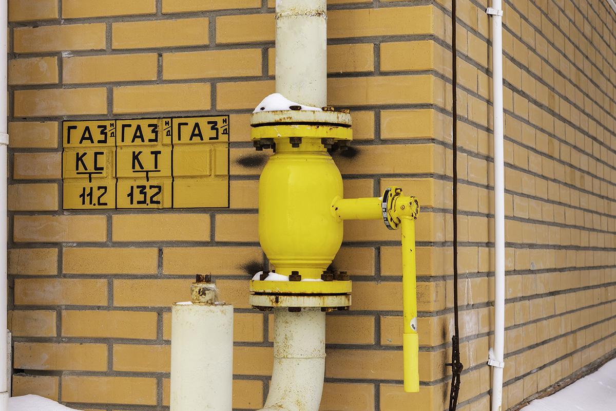 Фото: Kamrad71 / Shutterstock / FOTODOM