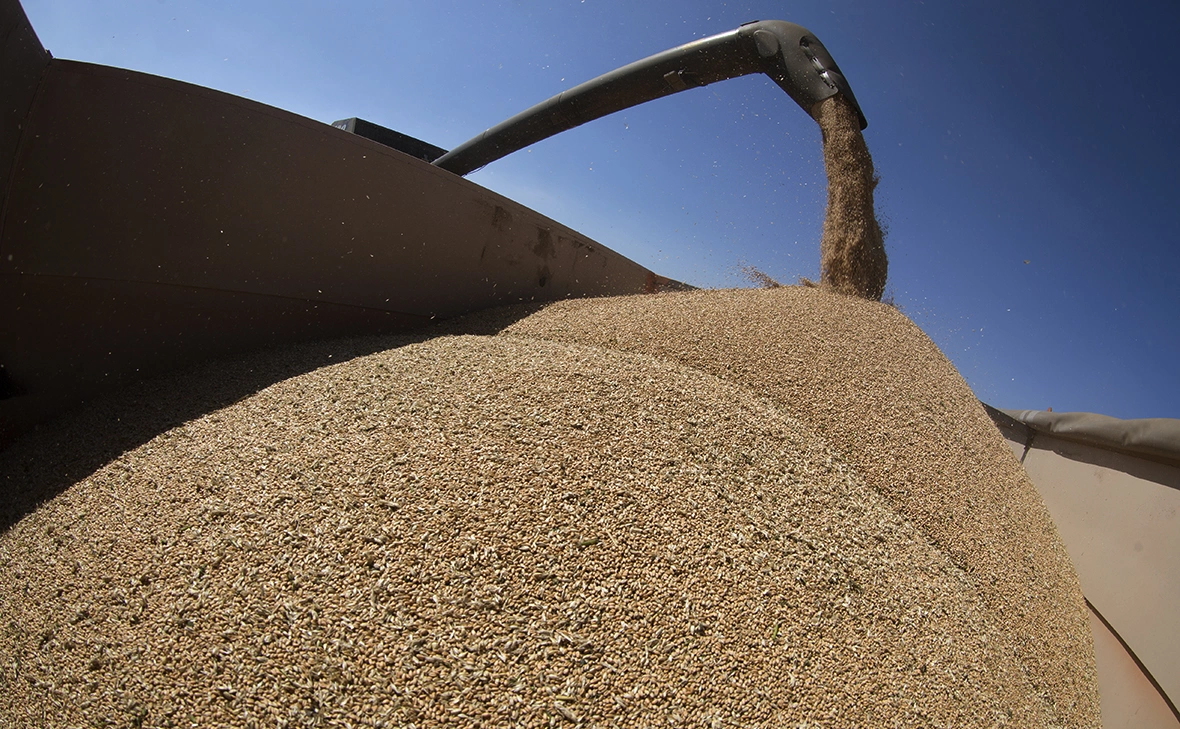 Николай Жингазов / Global Look Press