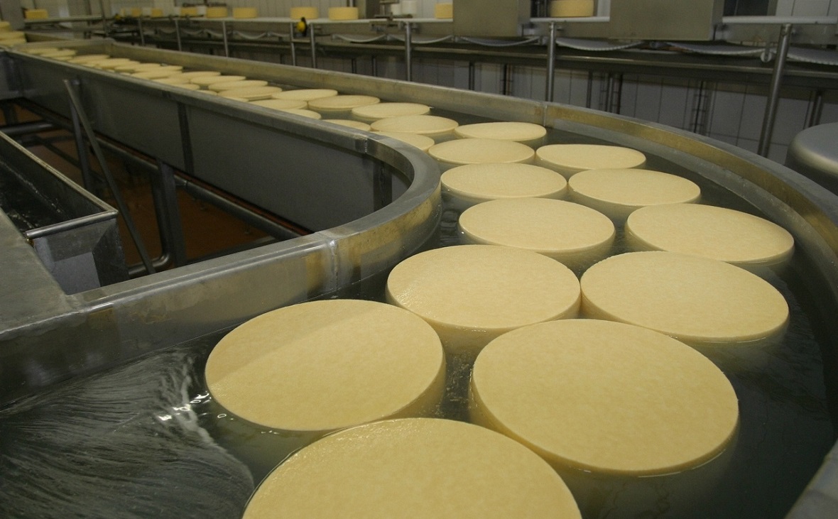Производство сыра на Белебеевском молочном комбинате