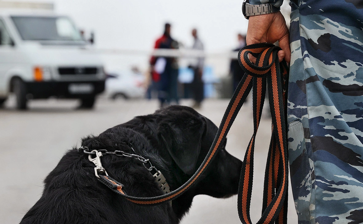 Сергей Мальгавко / ТАСС