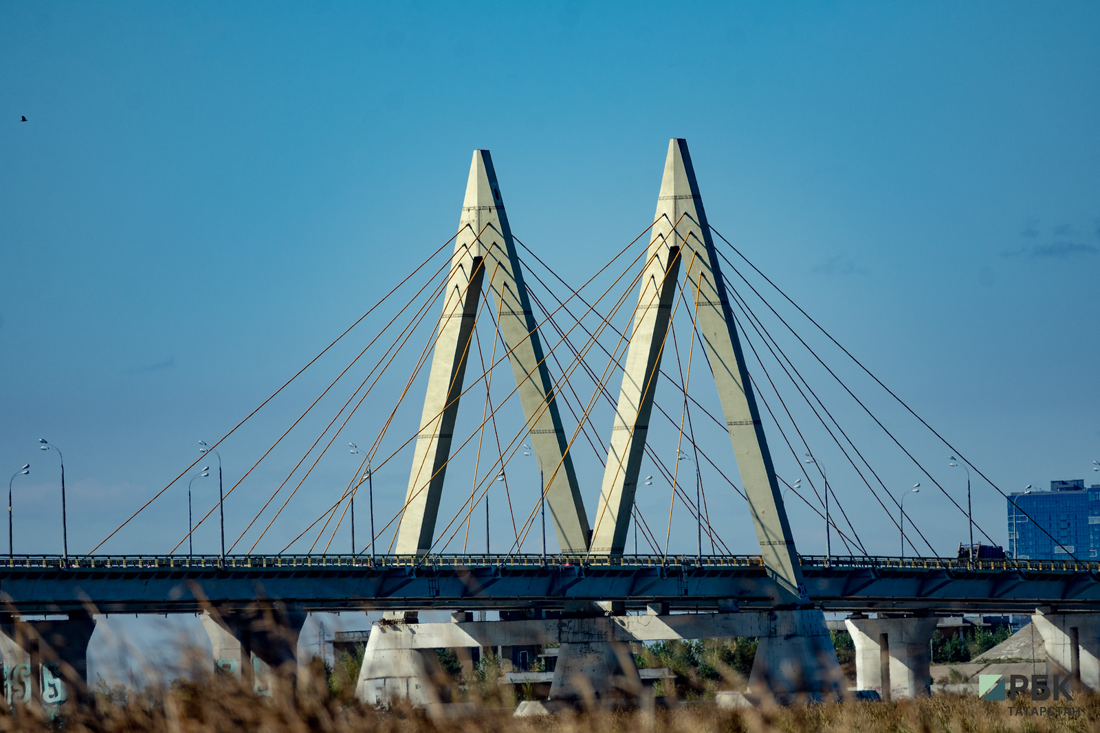 Мост «Миллениум» не будут ремонтировать в этом году из-за цены проекта