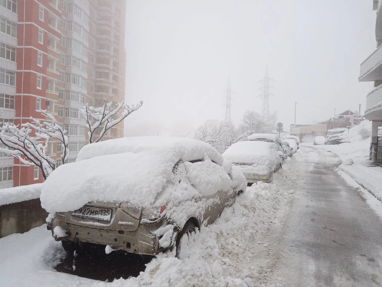 РБК Приморье