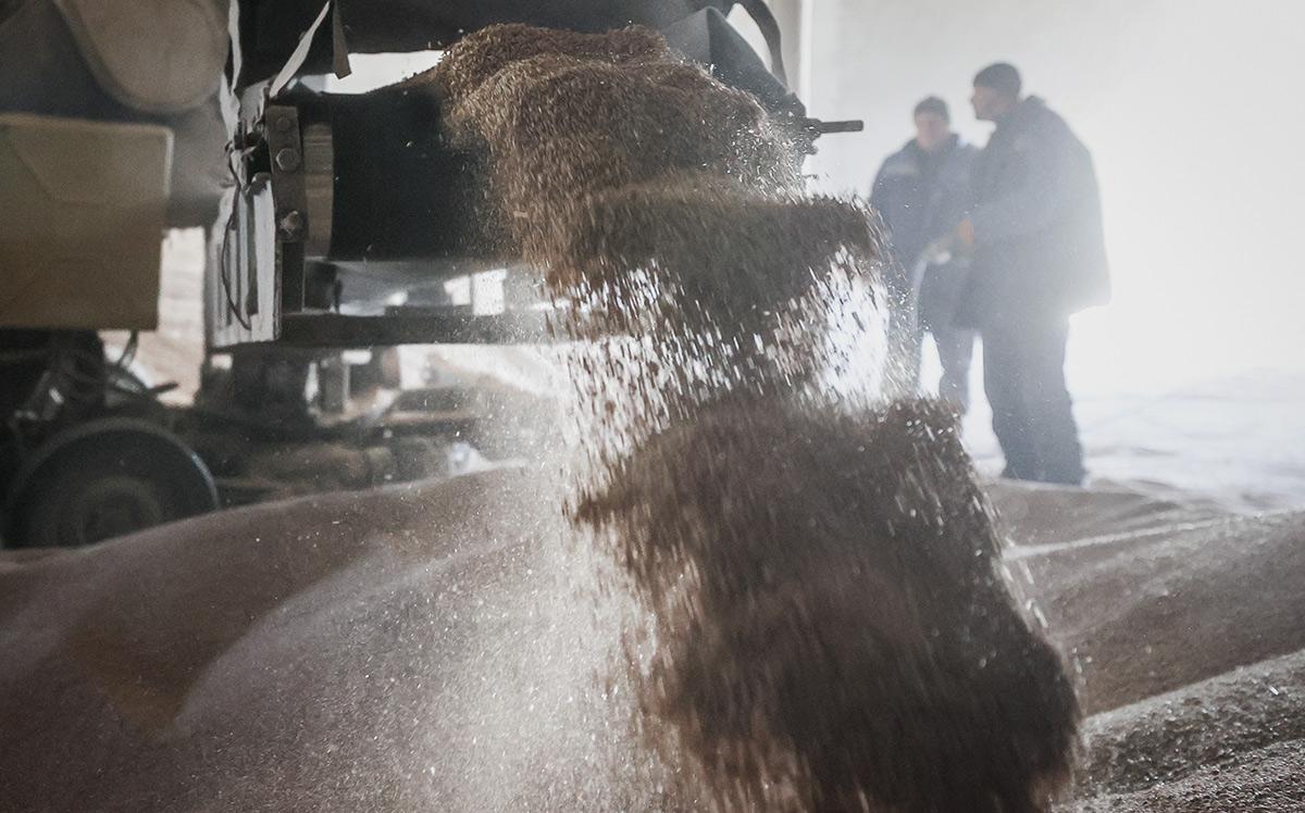 Bloomberg узнал о планах экспортера зерна Viterra уйти из России