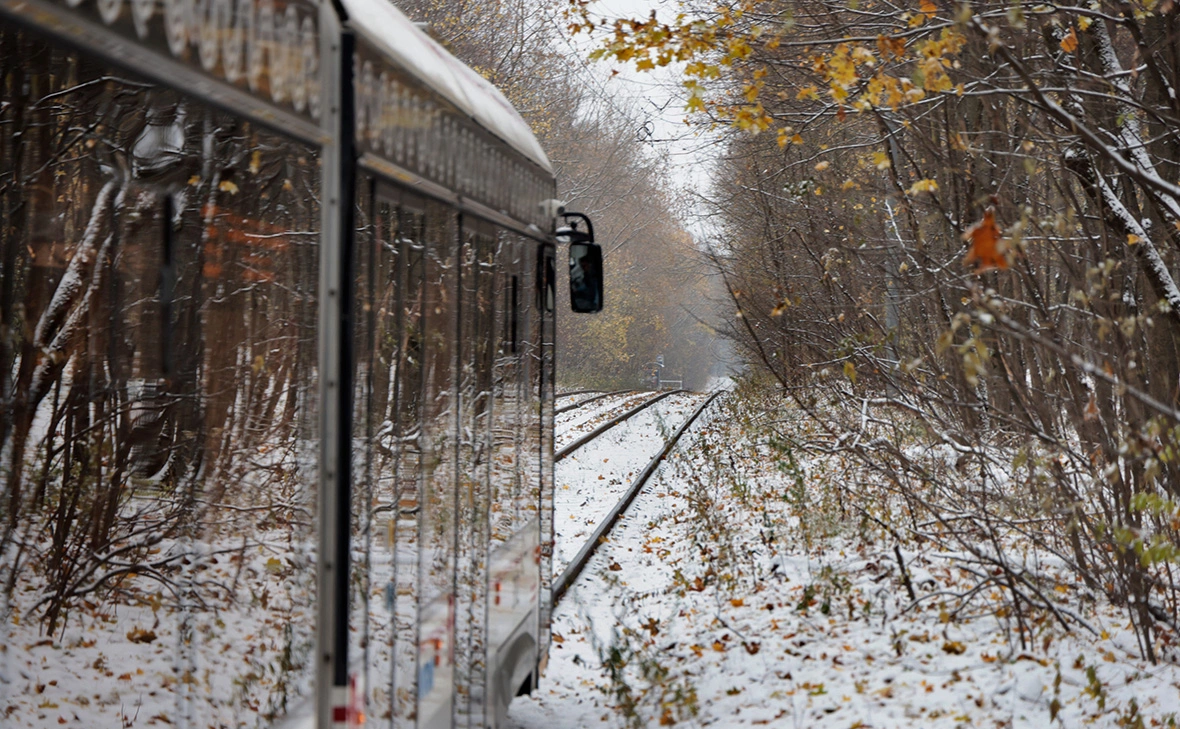 Михаил Гребенщиков / РБК