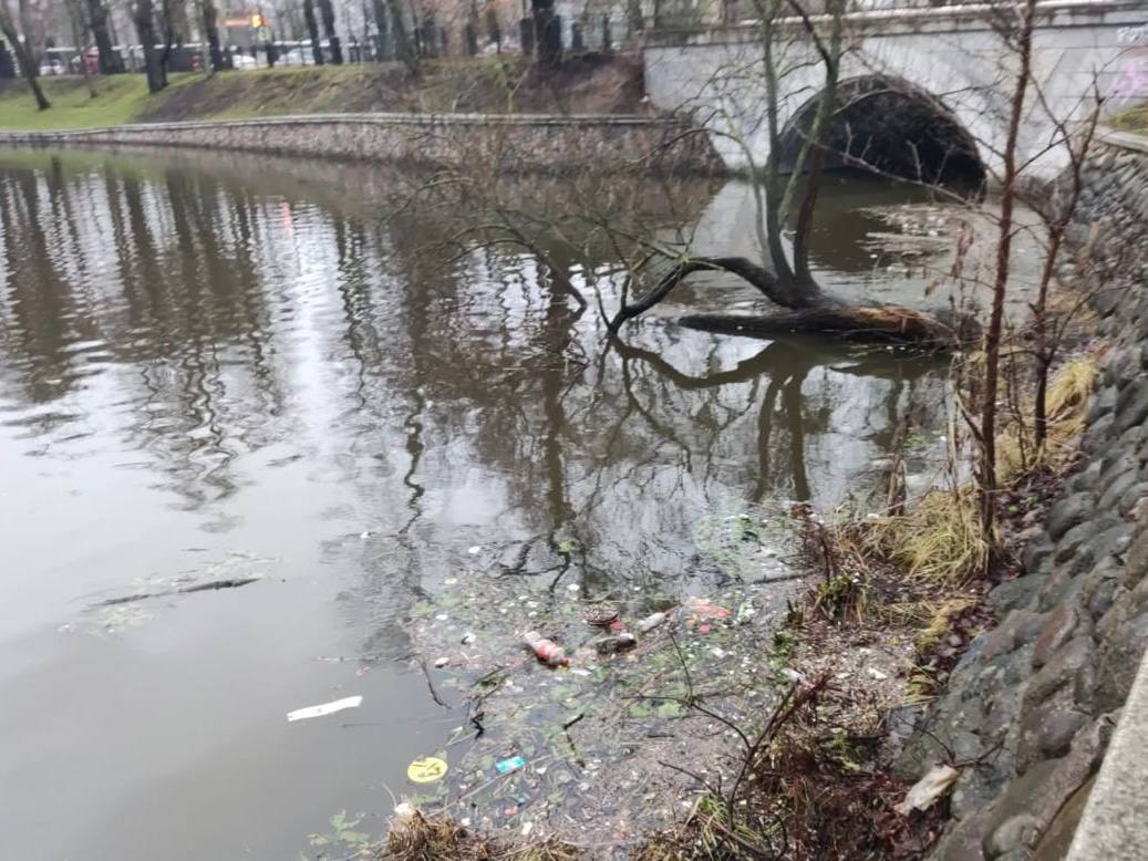 В причинах загрязнения Верхнего озера намерена разобраться прокуратура — РБК