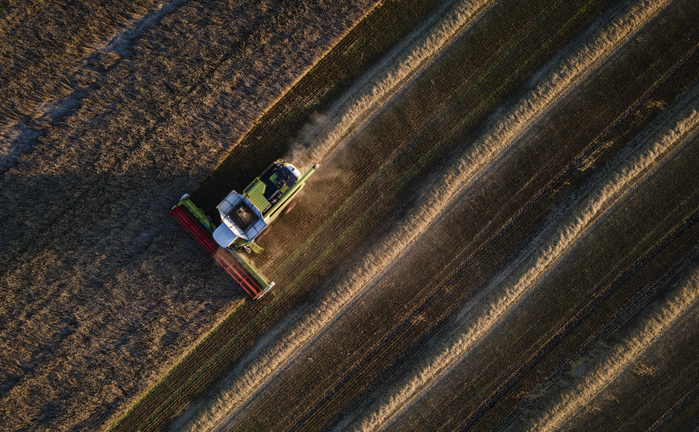  Ed Ram / Getty Images
