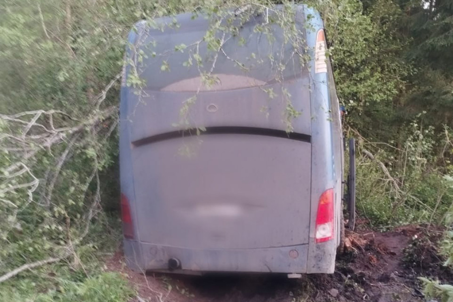 Фото: ГУ МВД России по г. Санкт-Петербургу и Ленинградской области