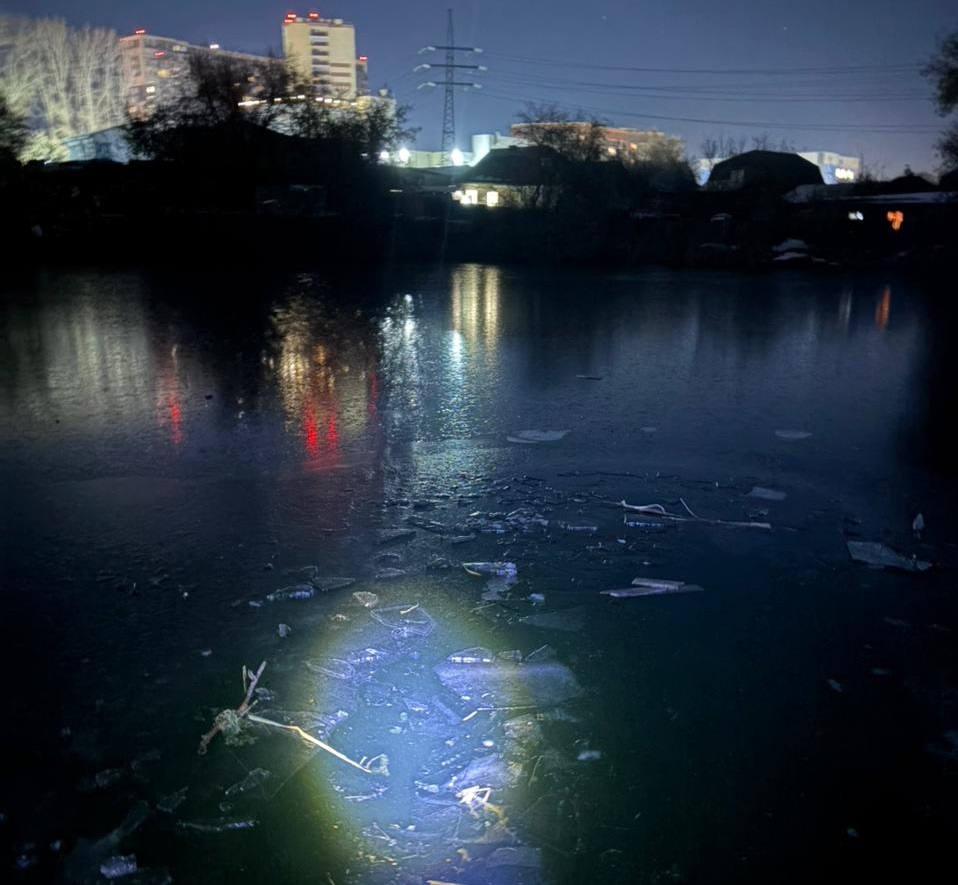 Фото: СУ СКР по Новосибирской области