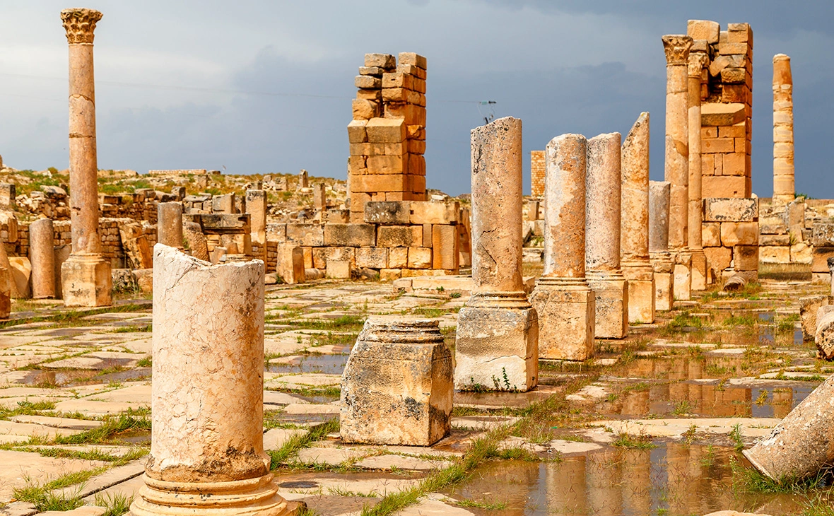 Lev Levin / Shutterstock