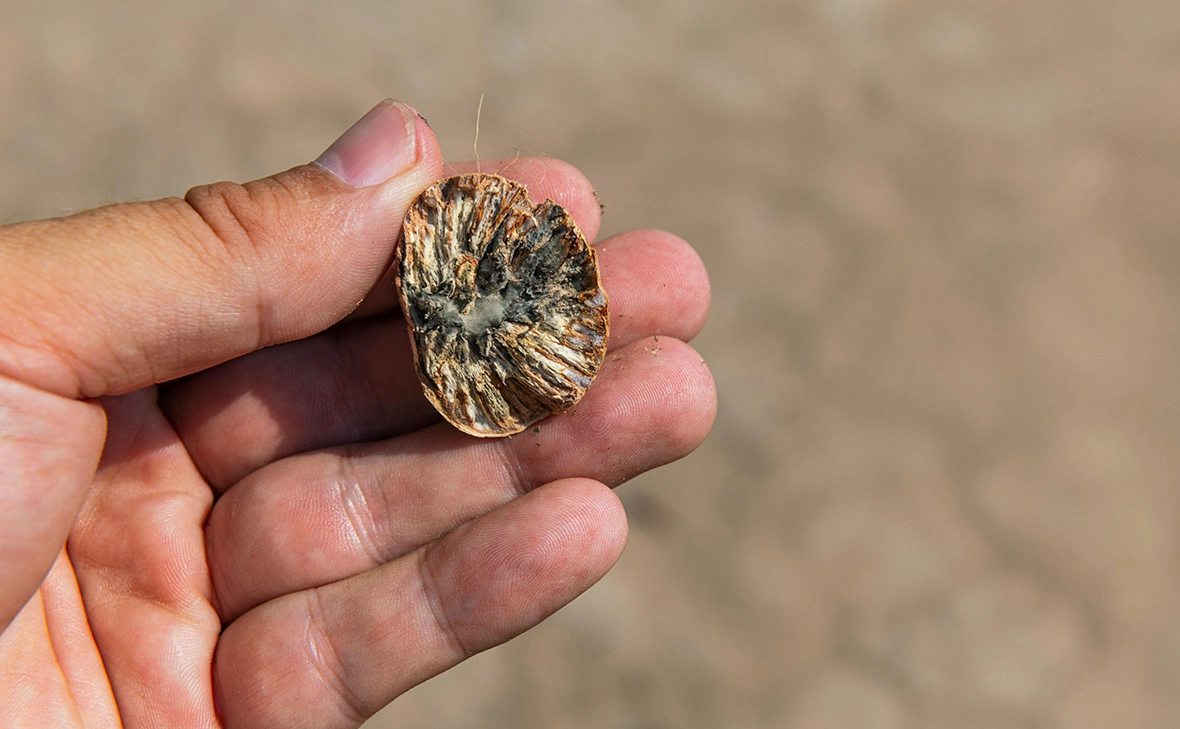 Michael Runkel / imagebroker.com / Global Look Press