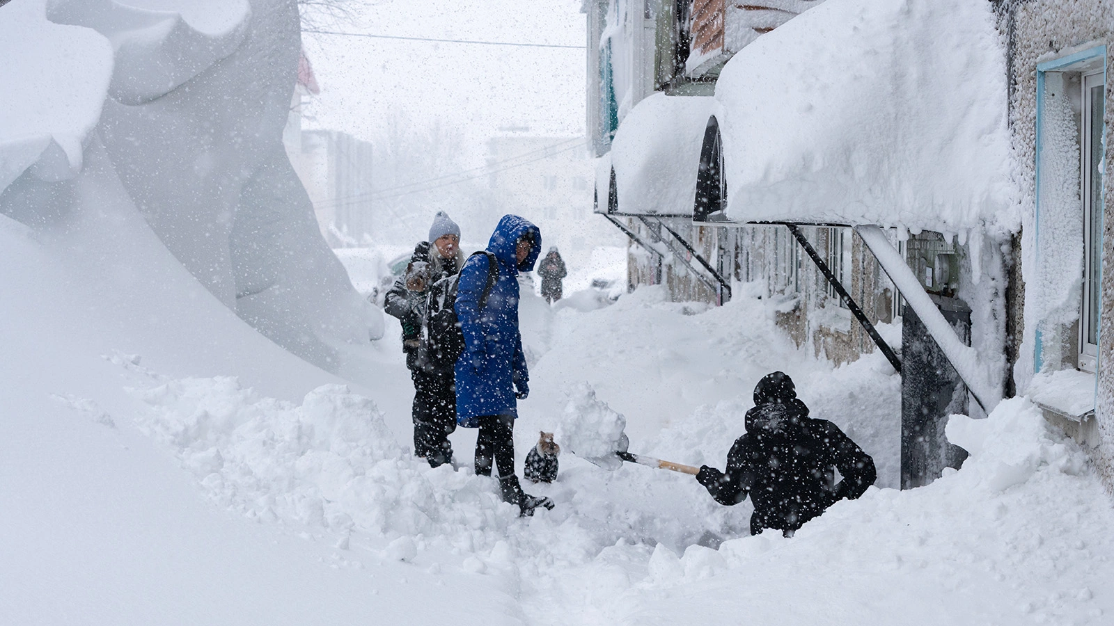 Снегопад в Петропавловске-Камчатском, 15 января 2026 года