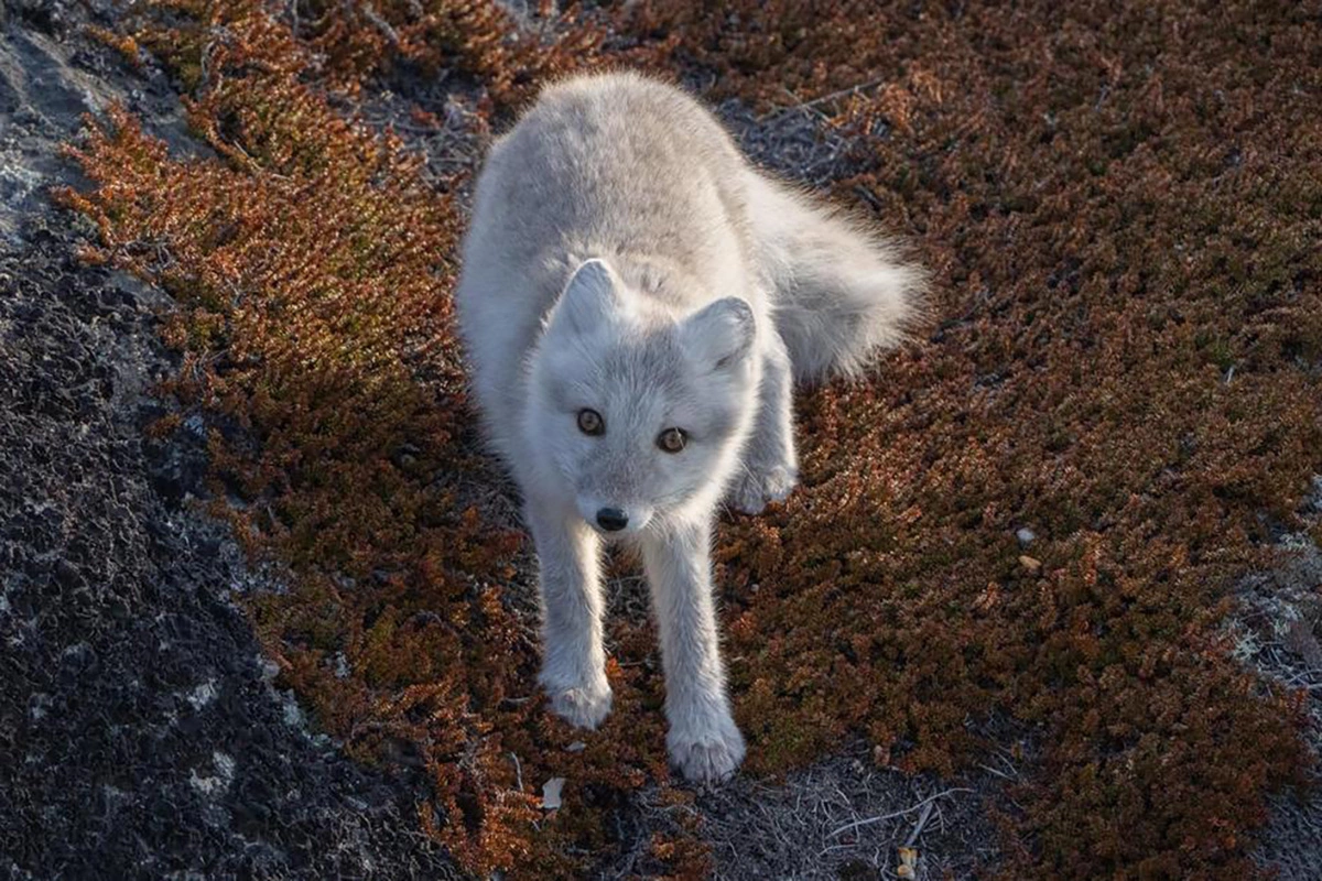 На край света. Почему стоит поехать в круиз на Дальний Восток этим летом