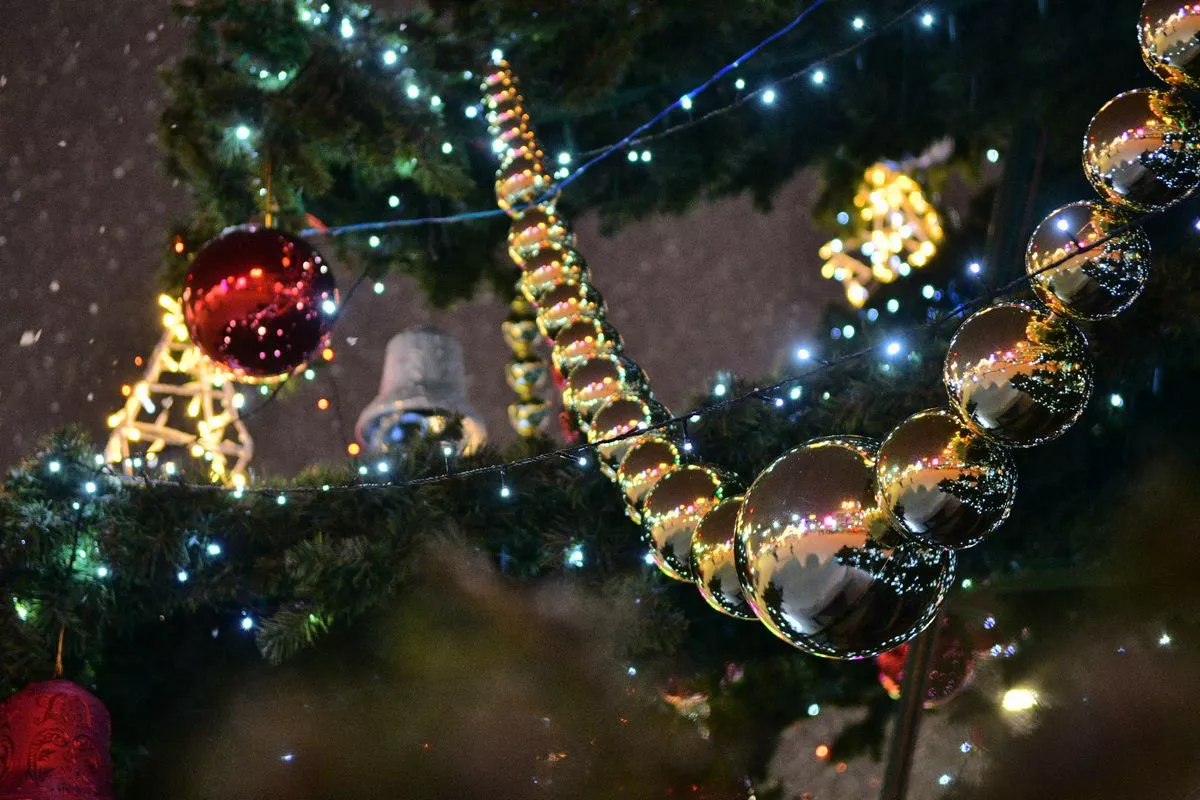 пресс-служба администрации Краснодара