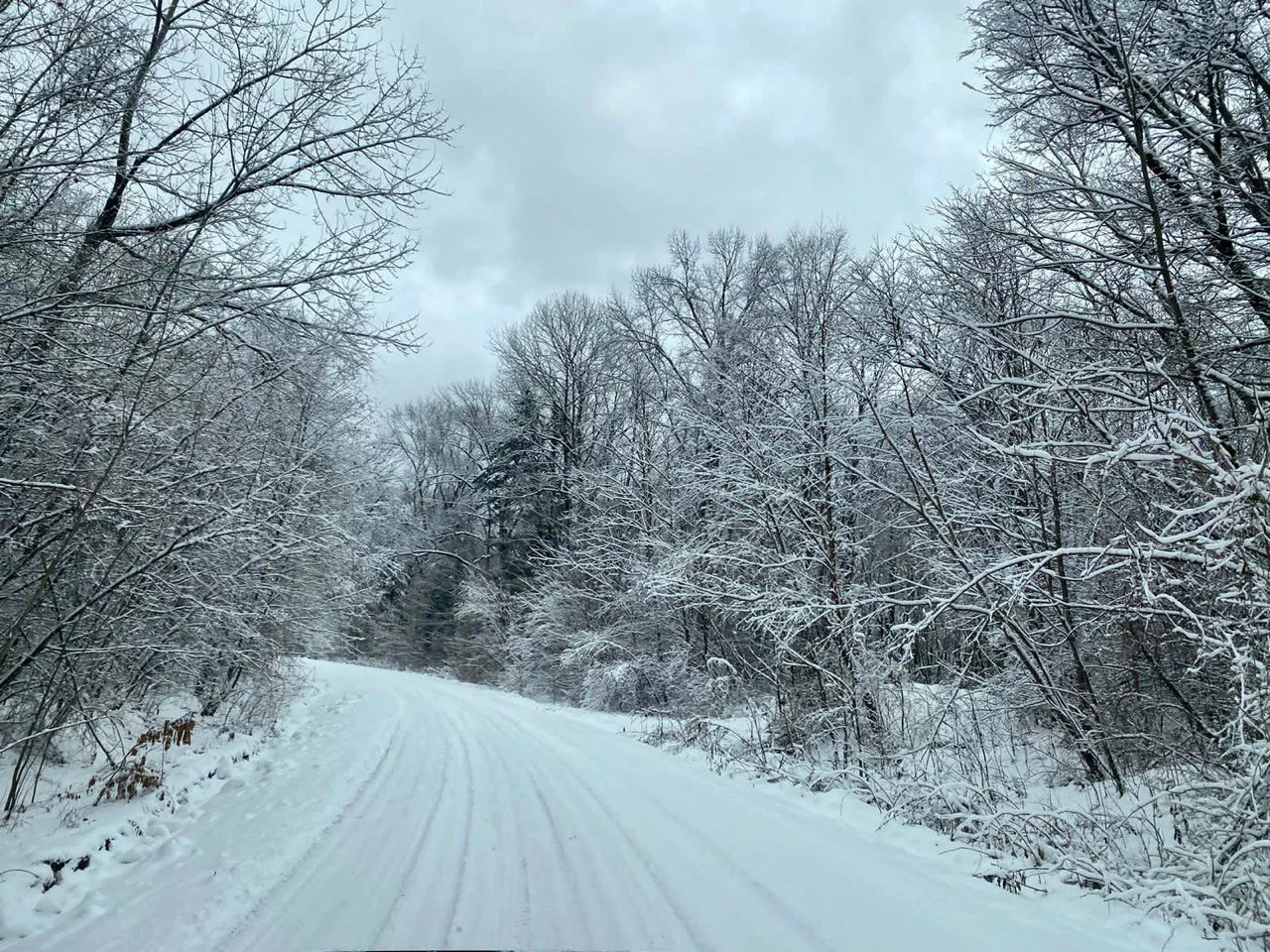 РБК Приморье