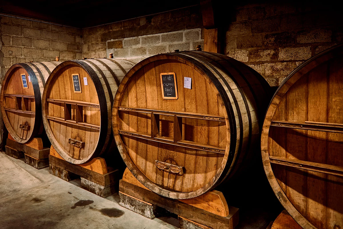 Как и южные собратья кальвадоса, коньяк и арманьяк, кальвадос созревает в дубовых бочках, но, в отличие от коньяка и арманьяка, которые сделаны из винограда, кальвадос производят из плодов яблони и груши