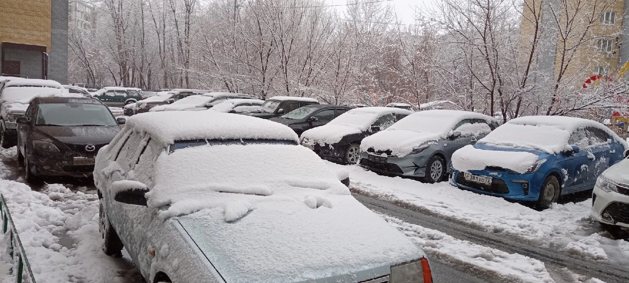 Светлана Садырина