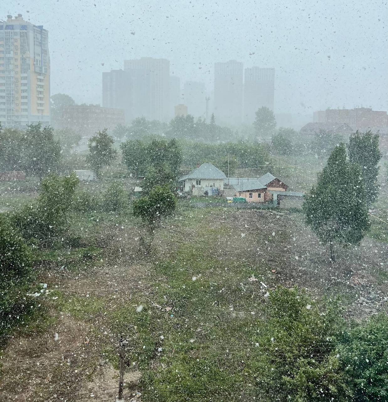 Фото: Михаил Шестаков / РБК Новосибирск