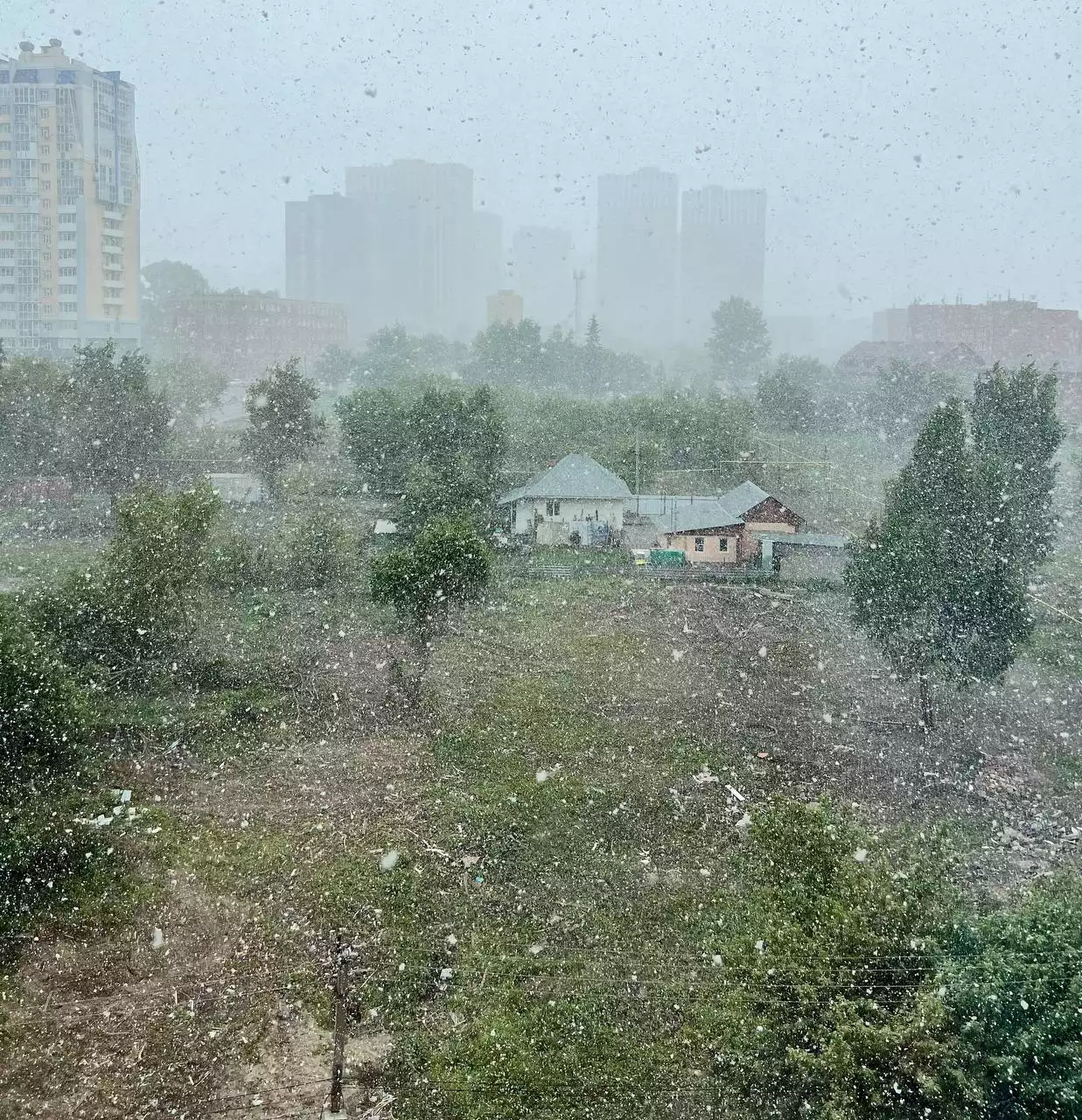 Михаил Шестаков / РБК Новосибирск