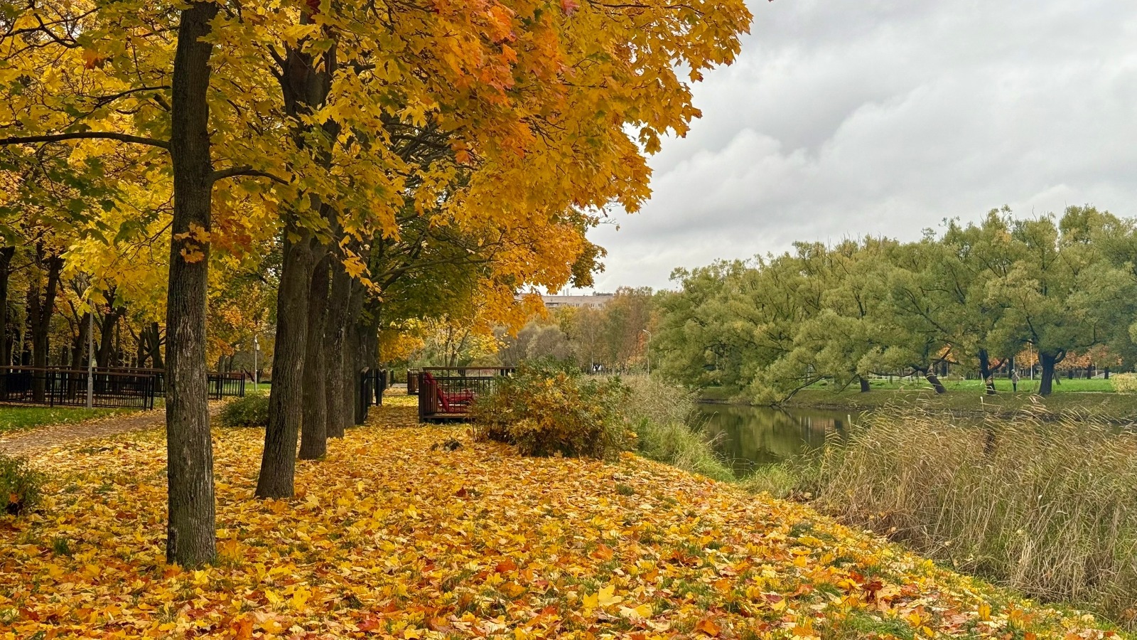 Фото: Администрация Санкт-Петербурга