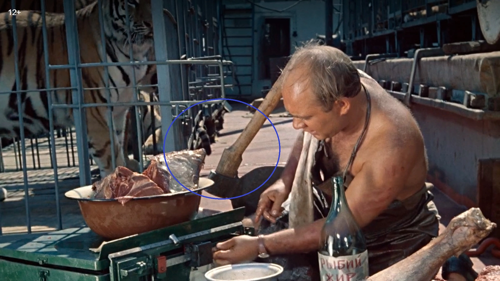 Евгений Леонов в кинокомедии «Полосатый рейс» (1961), режиссер Владимир Фетин