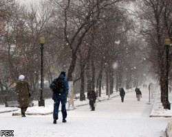 В Москве сегодня ожидается снежная метель и гололедица