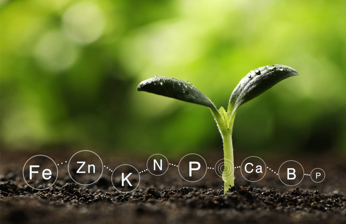 Фото: Shutterstock