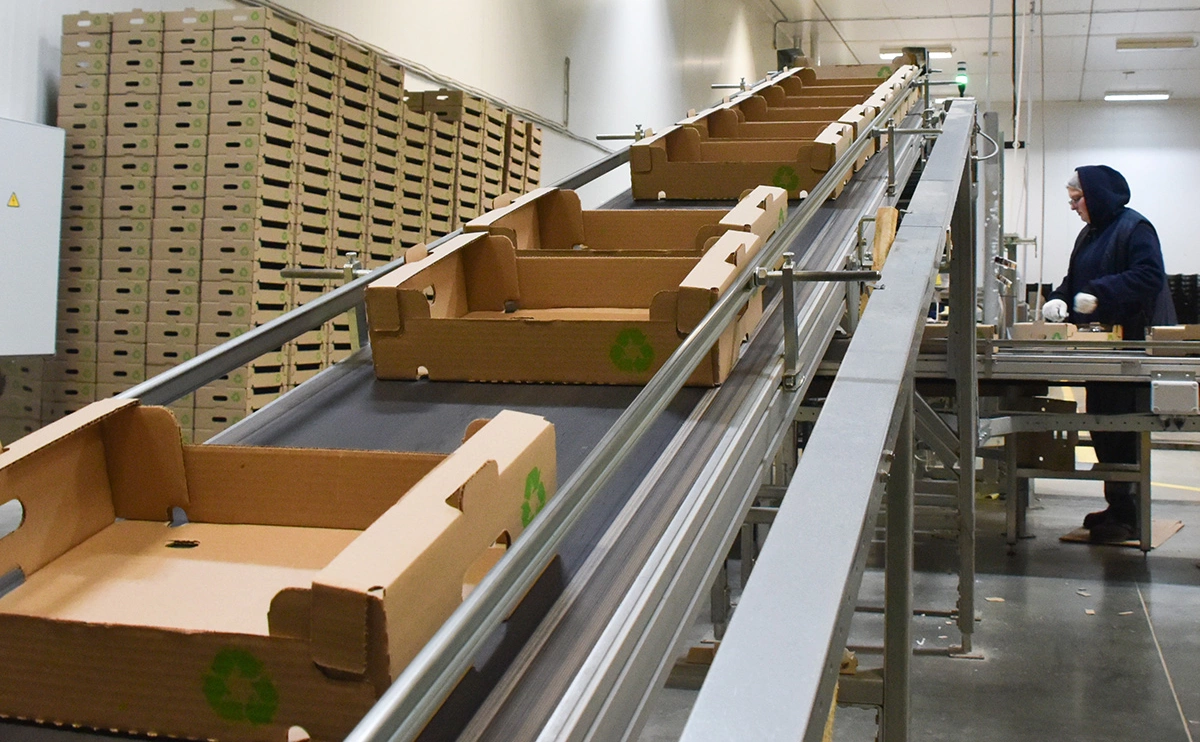 Роман Соколов / ТАСС