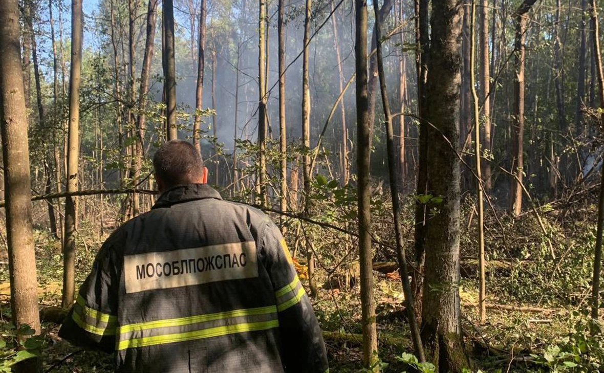 alexandrgrechishev / Telegram 