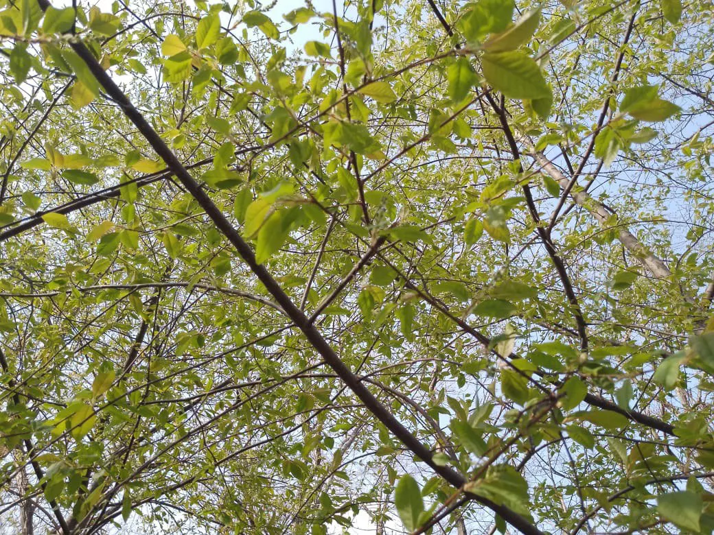 РБК Приморье