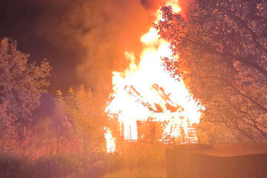 Фото: Hinshtein / Telegram