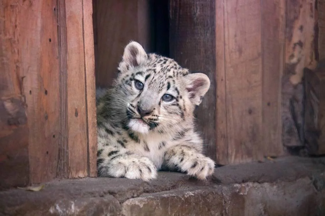 Пермский зоопарк