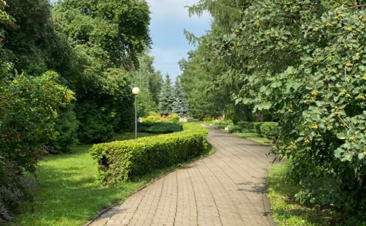 dendrosad-omsk.tilda.ws