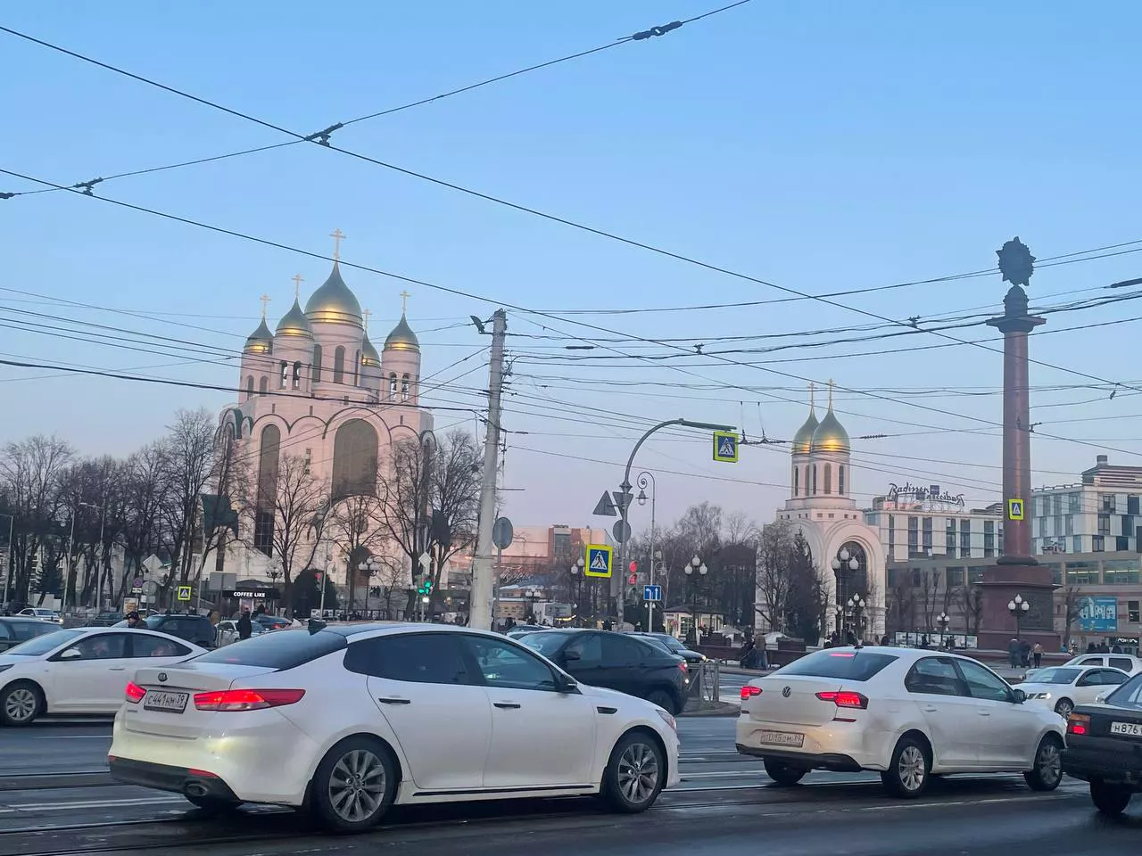 Марина Маркевич