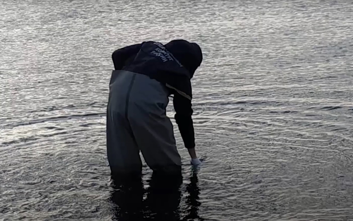 СК показал видео взятия проб воды у побережья Камчатки