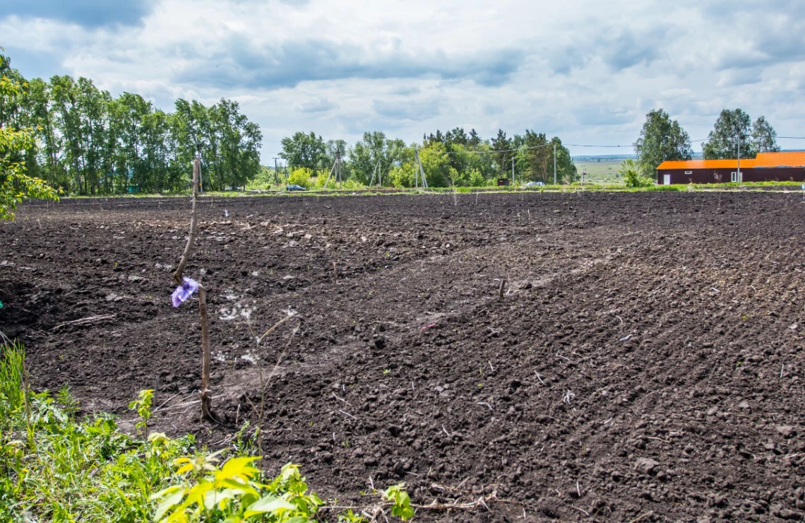 Игорь Меркулов / РИА URA.RU