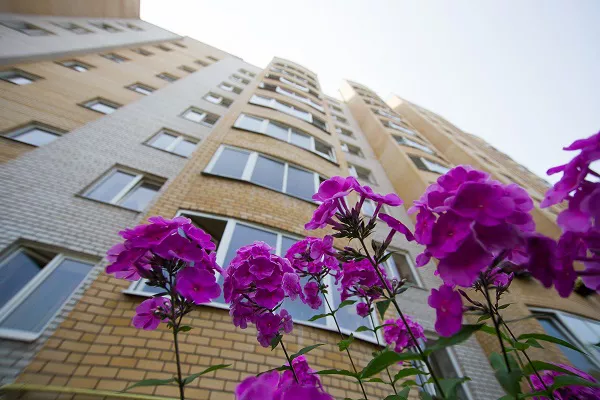 Александр Подгорчук