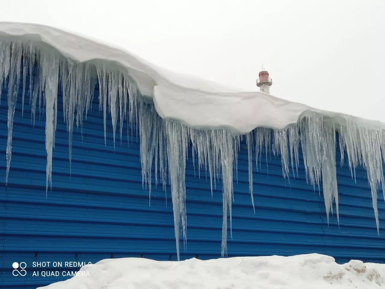 РБК Новосибирск