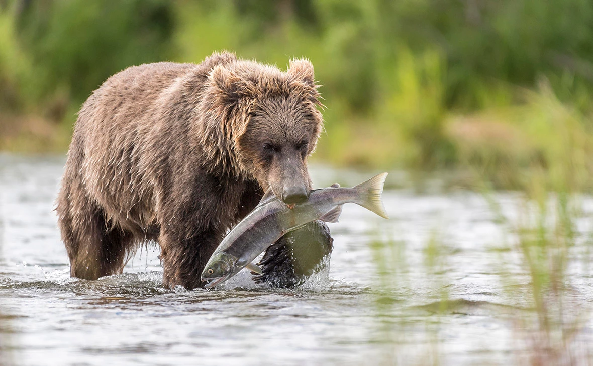 Robert Haasmann / Imago / Global Look Press