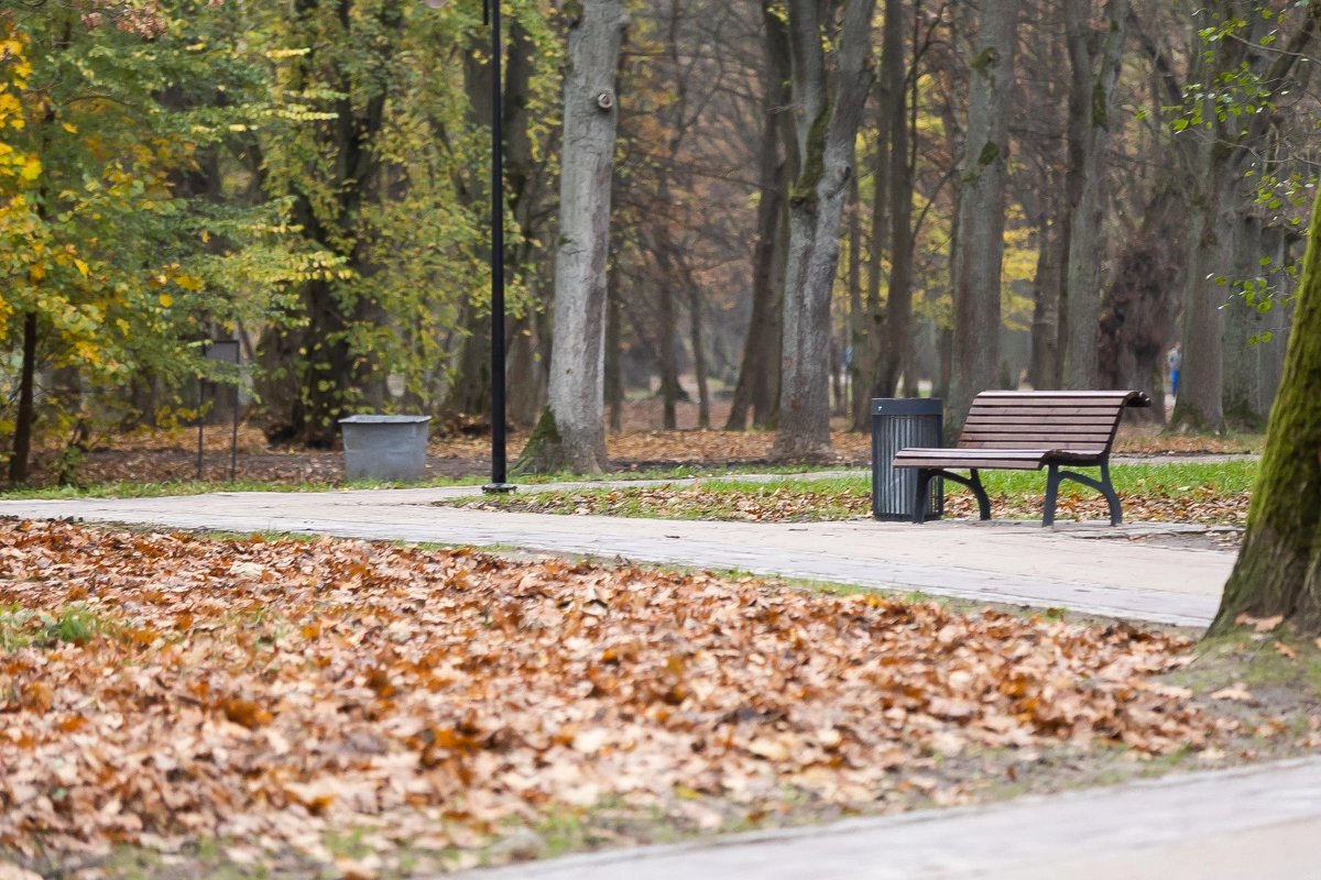 Александр Подгорчук