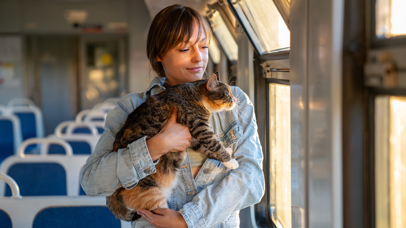 Сколько россиян берут питомцев с собой в поездки. Вы удивитесь