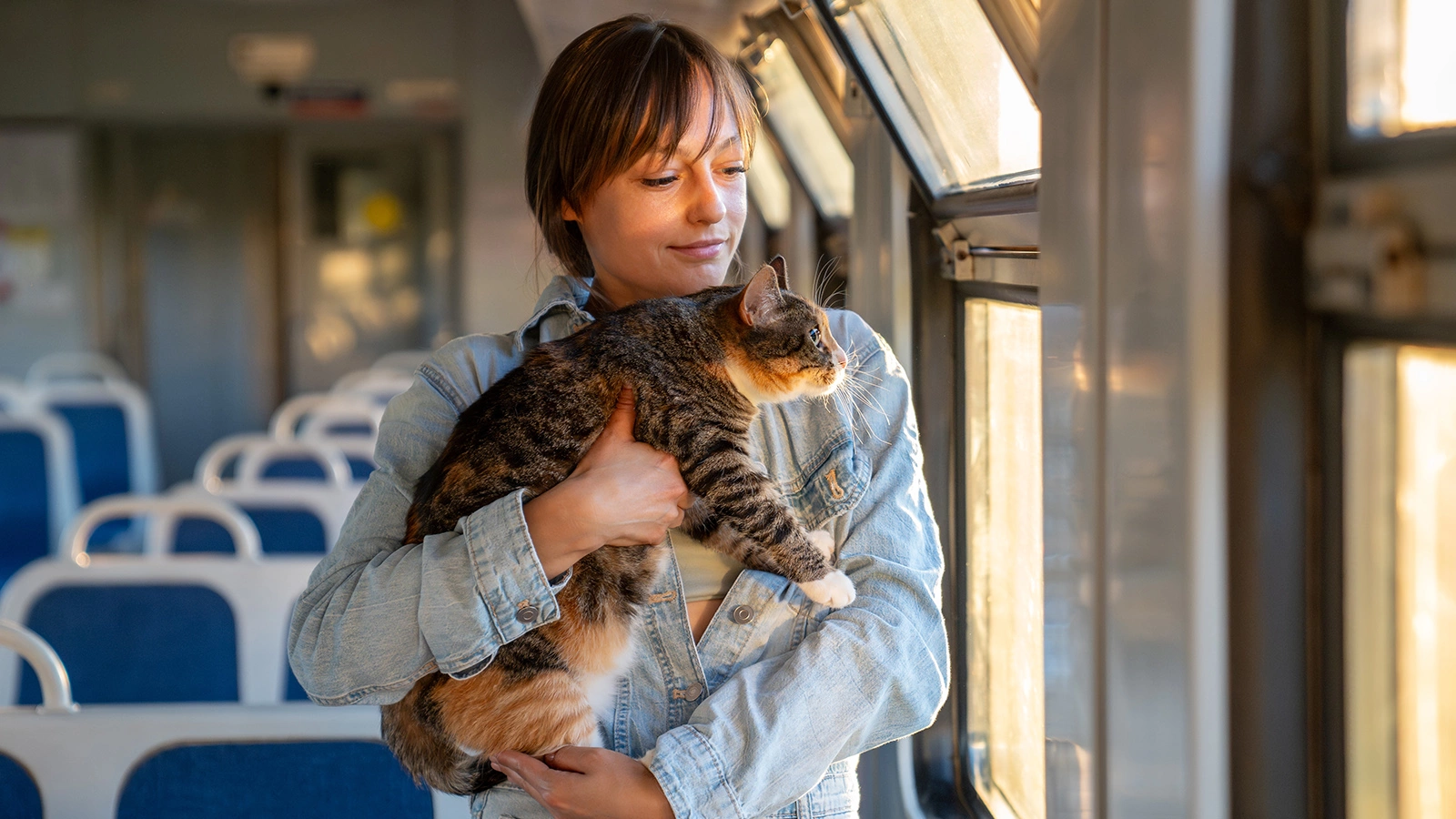 Сколько россиян берут питомцев с собой в поездки. Вы удивитесь