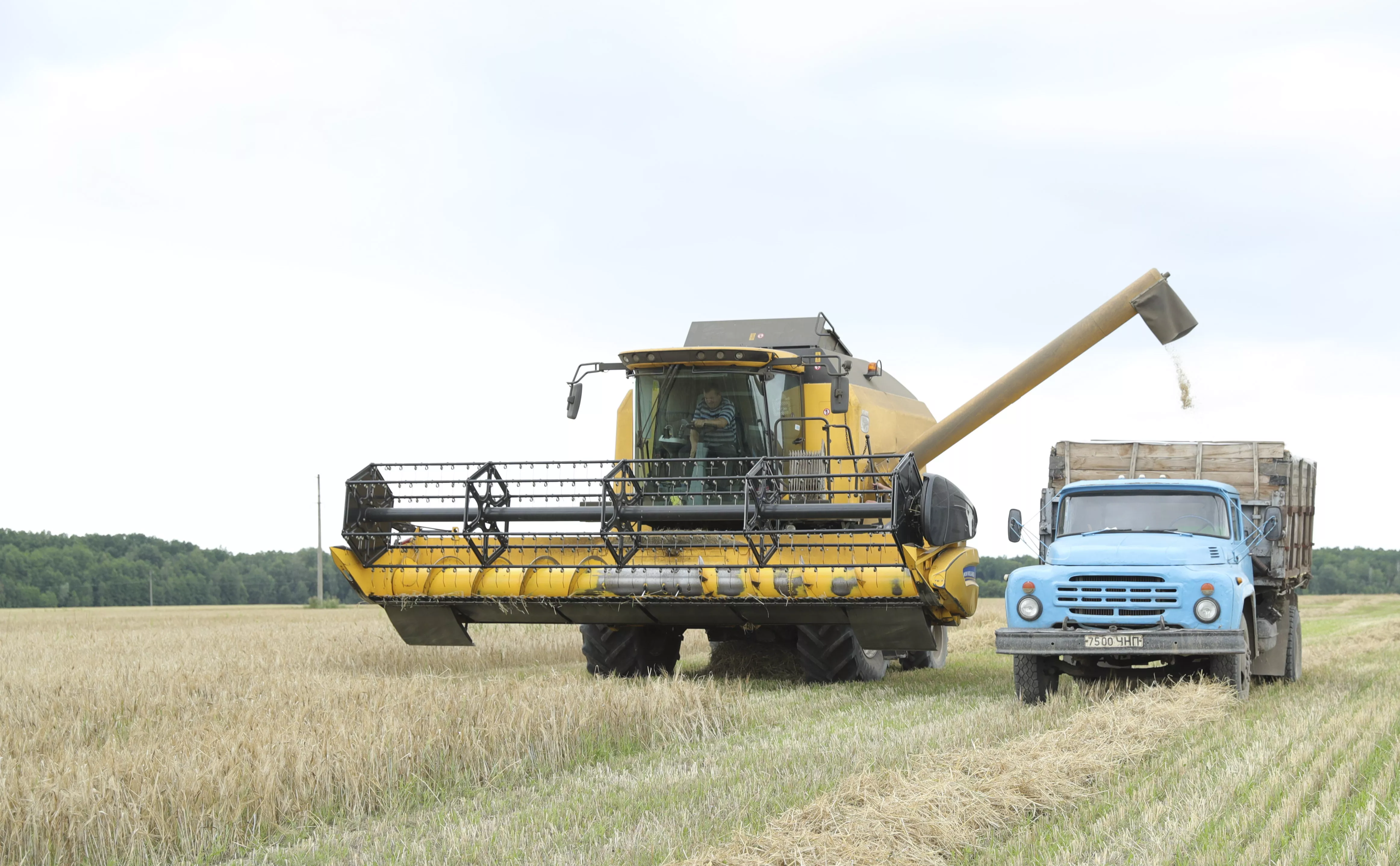 Li Dongxu / XinHua / Global Look Press