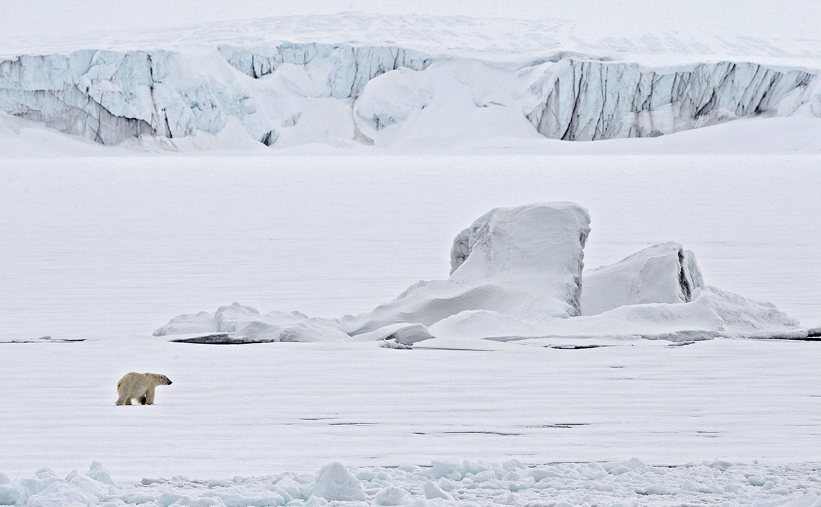 Вера Костамо / РИА Новости