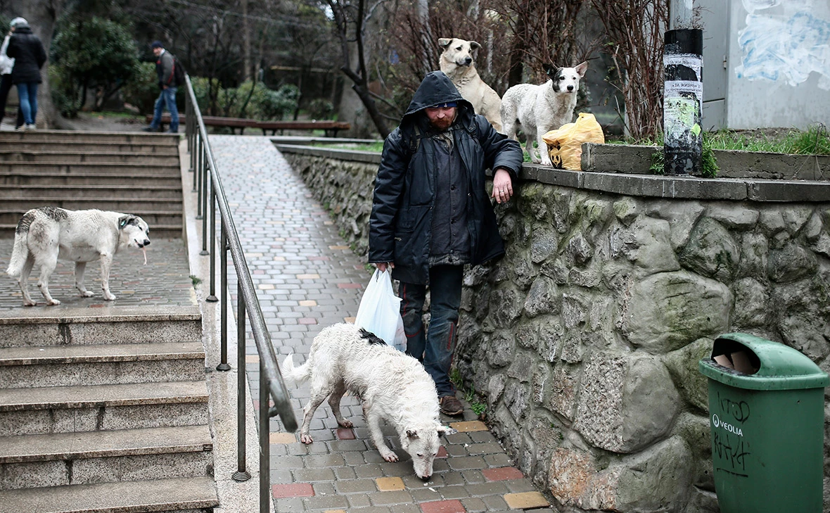 Константин Михальчевский / РИА Новости